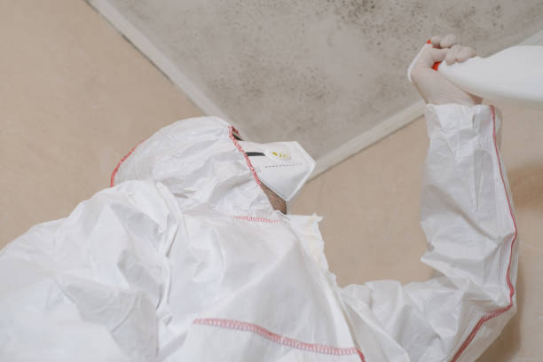 Best Mold Cleaning Services  in Missouri City, TX